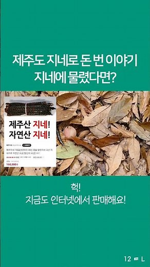 제주도 지네 잡아서 돈벌기, 지네에 물렸을때 응급처치 방법