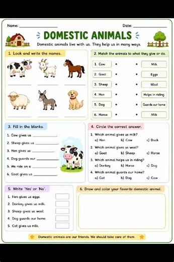 Learn Types of animals