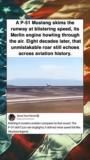 A P-51 Mustang skims the runway at blistering speed, its Merlin engine howling through the air..mp4 | Movies USA