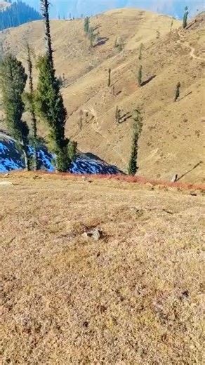 pcv test (@pcvtest)’s videos with original sound - pcv test