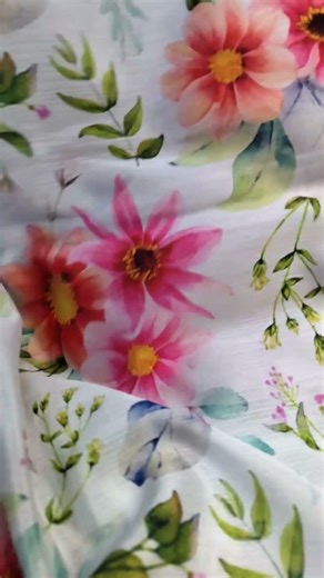 Chinon Chiffom brand beauty www.Fabmyntra.com 7069000151