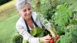 Mayo Clinic Minute: Health benefits of gardening - Mayo Clinic News Network