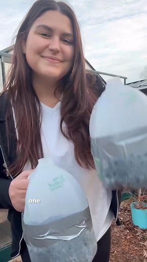 1.1K views · 34 reactions | Winter Sowing is a gardening technique that taps into the magic of the cold season to prepare for a vibrant spring. To create your winter sowing jug, start by selecting a translucent | Meg Grows Plants | Facebook