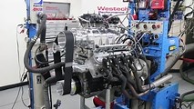6-71 blower on 383 LS engine makes 753 hp on just 7.3 pounds of boost!