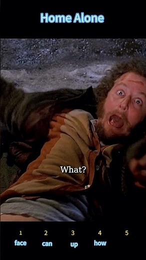 Home Alone 2: Lost in New York (1992) | The Rooftop Retribution