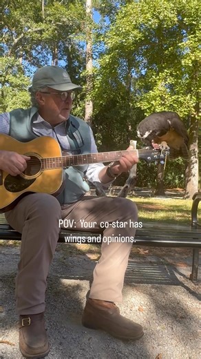 It’s always a good time when @philliplammonds visits the Center. Bird Songs is just days away, and we have limited tickets left for both Thursday and Friday. Don’t miss this unforgettable night of music, birds, and laughs — grab your seat now! 🎶🦉 Join Phillip Lammonds, Rob Mayes, Nicole Witt, and David Tolliver for an unforgettable night of live music, dinner, drinks, birds of prey on display and in-flight on the Center’s stunning campus. 🎸🦅 $225 per person. May 8 & 9, 6–9 PM. Limited ticket