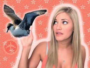 ANIMAL SAVIOR! | iJustine
