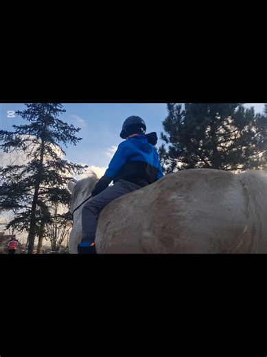 #lovasbirtok #equestrian #extremetrailpark #bértartás #lovasiskola