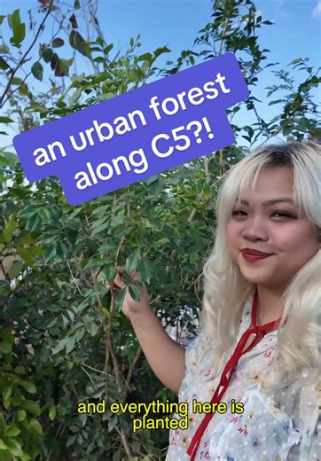 Exploring the Urban Rainforest Along C5: A Sustainable Initiative