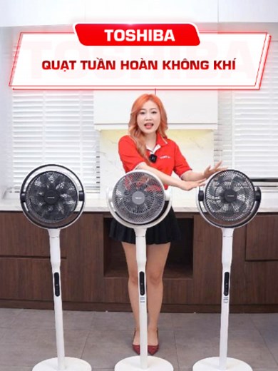 Why You Should Use Circulation Fans Year-Round