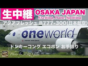 🔴 LIVE OSAKA ITAMI Airport 2025/10/19 大阪伊丹空港 ライブカメラ