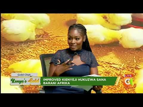Kenya's Gold Chat | Poultry Farming in Kenya |