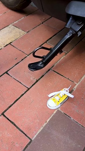 Discover Amazing Gadgets for Your Home