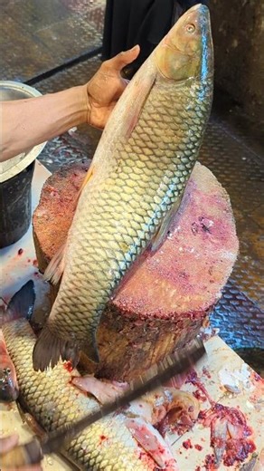 "Fresh grass carp Cutting – Quick and Clean Technique" #shorts
