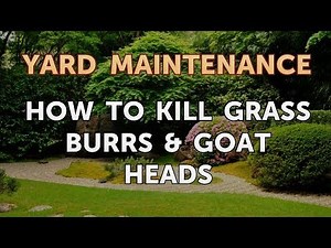 How to Kill Grass Burrs & Goat Heads
