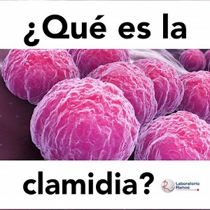 ¿Qué es la clamidia y cuáles son sus síntomas? | Laboratorio Ramos