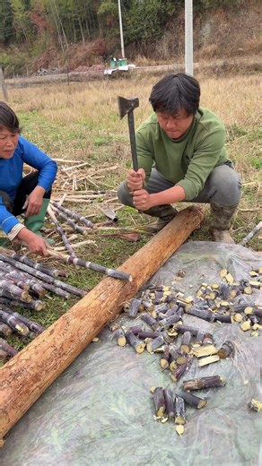 The Real Struggle of Farming: Meet the Hardworking Workers of the Countryside