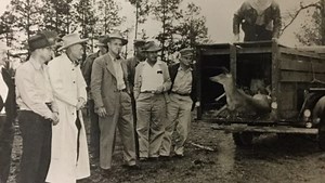 Deer restocking program means big bucks for Ala. hunting industry