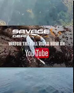 34 reactions | The Complete Guide to Bass Fishing, Episode 1  Rocky Coves Henry Gilbey talks lure choice, tactics and observation in the first part of the series about bass fishing.   Watch the full video here  https://fcld.ly/jnsccqx #savagegear #itsasavageworld #lureswithanattitude #bass | Savage Gear UK | Facebook