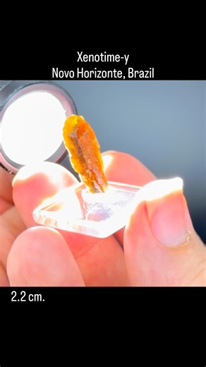 Natural Selection Crystals on Instagram: "It’s Xenotime! Y? Let me tell you. - Xenotime-y is a Yttrium Phosphate mineral that’s exceptionally rare. The finds in Novo Horizonte have produced more than most localities in the context of sizeable, visually impactful specimens with euhedral form and some element of color/translucency. - Finding good terminations and pieces with luster tends to be the challenge with these. - Xenotime was originally going to be called Kenotime for the Greek word Kenós 