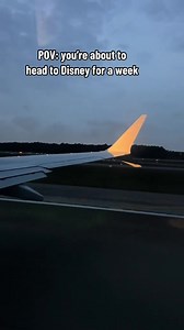 The most magical week ever ✨#disneyparks #disneytravels | MickeyTravels, LLC