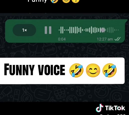 Hilarious Funny Voices Compilation to Make You Laugh