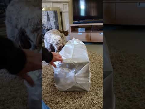 Panasonic SC-TMAX10E-K Unboxing