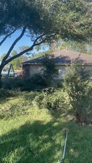 Tree Removal Service in Conroe TX | America Tree Service