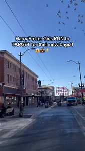 Jk we sell them 🤭 #harrypotter #potterheads #target | Elder Ash