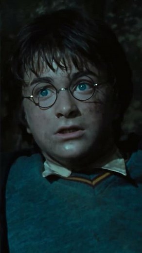 Harry fights the Basilisk #HarryPotter #Basilisk