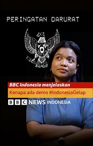 Kenapa mahasiswa demo #IndonesiaGelap? Protes ini dimulai di media sosial. Melihat tidak ada perubahan kebijakan dari pemerintah, protes berlanjut di dunia nyata. Setelah garuda biru, muncul garuda hitam. "Upaya warga yang sedang menunjukkan kontrol publik, karena lembaga yang seharusnya melakukan itu, yaitu DPR, tidak melakukan fungsi pengawasan secara maksimal," kata Aisah Putri Budianti, pengamat politik BRIN. Tapi sayangnya, niat baik rakyat memprotes kebijakan pemerintah malah ditanggapi be