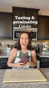 And maybe in 5 years l’ll have my own cacao pod in Indiana Cacao#cacaopod #growingseeds #plantgrowth
