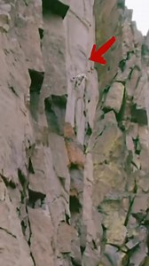 4.8K views · 38 reactions | Big Jump In The World ...