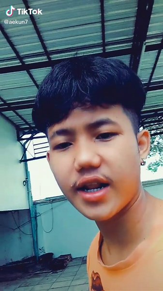 Exploring the Unique Characteristics of Dark Turtles