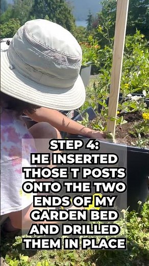 How to Build a Tomato Trellis For a Raised Bed