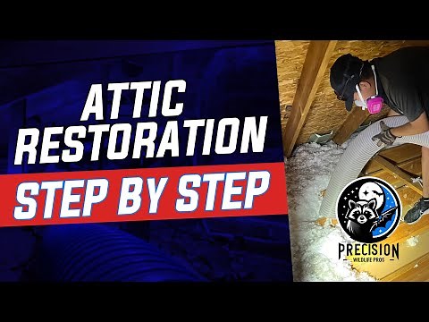 Raccoons Destroy Attic | Attic Restoration Step By Step