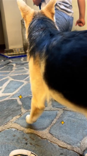 4 comments | Meet Batman 驪✨this 6-month-old boy is the perfect...