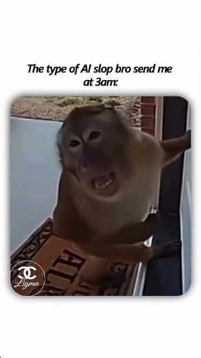 The clip features a monkey knocking persistently on door while repeating (“chu papi muñañyo”) ...