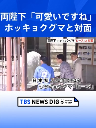 「耳が小さい？」「可愛いですね」天皇皇后両陛下 ホッキョクグマ“ピース”と笑顔で対面 愛媛県で動物園へ #tbs #tiktokでニュース