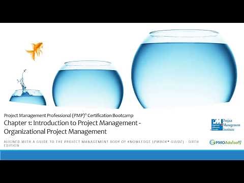 Chapter 1 Introduction to Project Management, Organizational Project Management