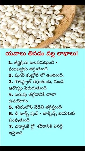 Discover the Superpower of Barley!
