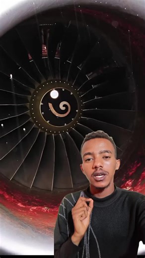 Ethiopian Plane Incident of July 13, 2004