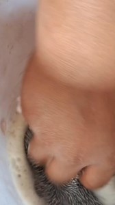 3.4K views | How to make this silver unique design locket pendant necklace making process hallmark jewellery making part 18 | Hallmark Jewelry making | Facebook