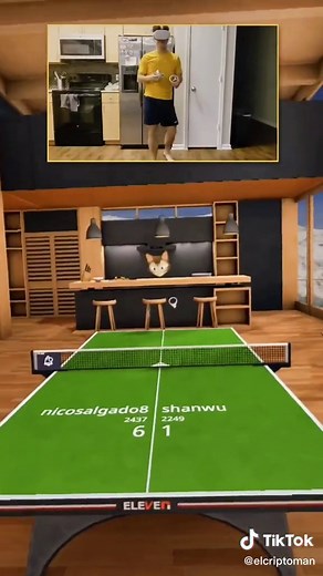 table tennis VR is the best VR game and i won't argue with anybody 😤 #pingpong #tabletennis #eleventabletennis #vr #oculusquest2