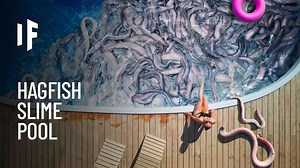 How Hagfish Slime Expands 10,000x to Defend Against Sharks