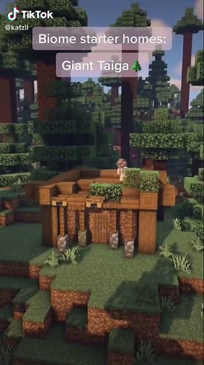 Minecraft Taiga Biome Starter House Ideas