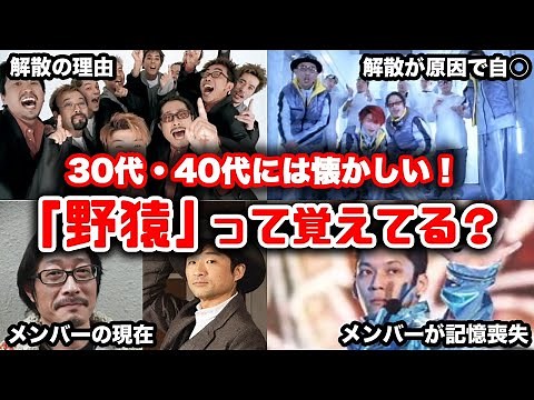 【ゆっくり解説】30代40代の懐かしい！当時一世を風靡した人気グループ「野猿」を振り返る とんねるず みなさんのおかげでした