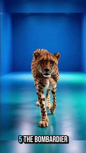 Ten animals, ten real life superpowers