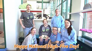 32K views · 165 reactions | Did you know that training a shelter cat...