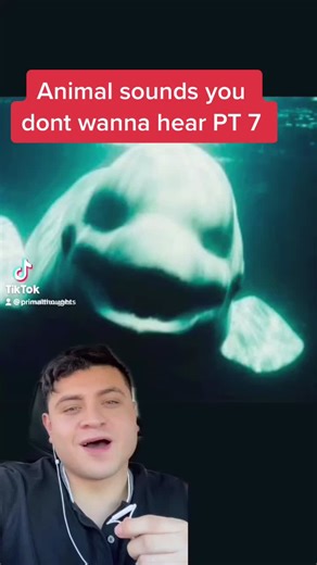 Terrifying Animal Sounds You Don't Want to Hear